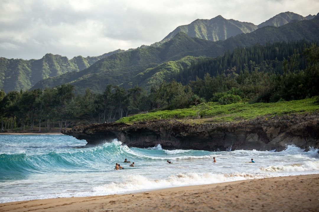 Best Hawaii Tours