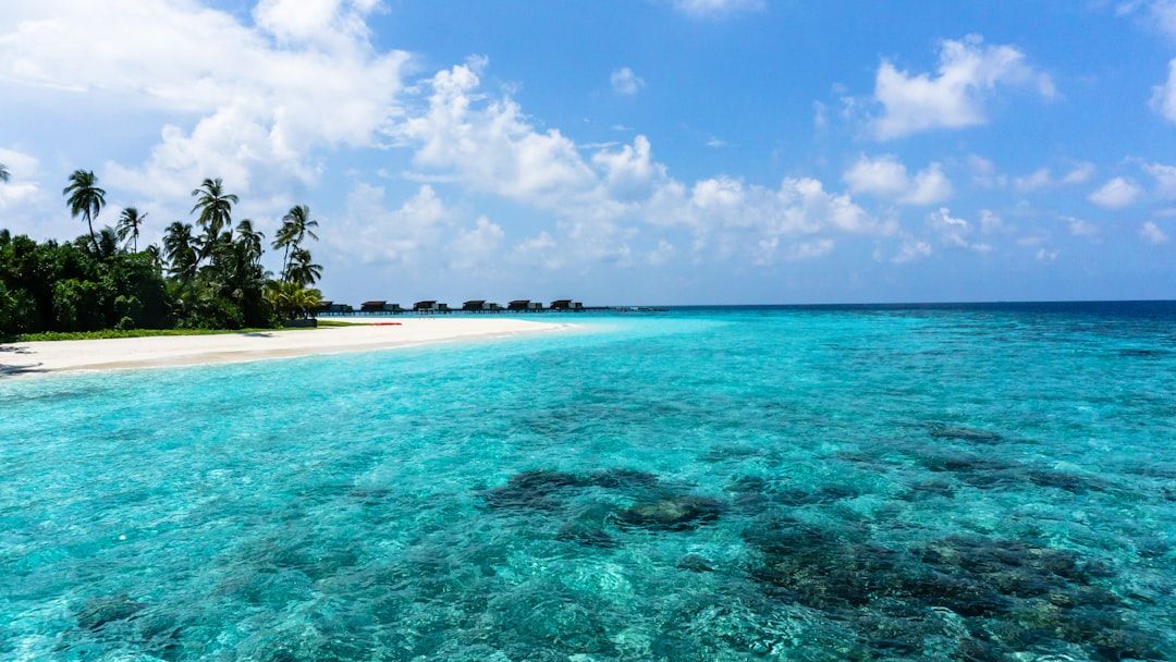Best Hawaii Tours